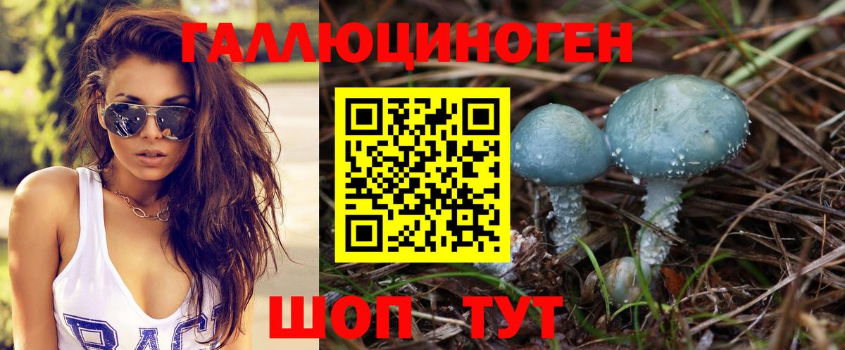 Прохладный  магазин продажи   Галлюциногенные грибы прущие грибы  Вход с VPN  Галлюциногенные грибы мухоморы 